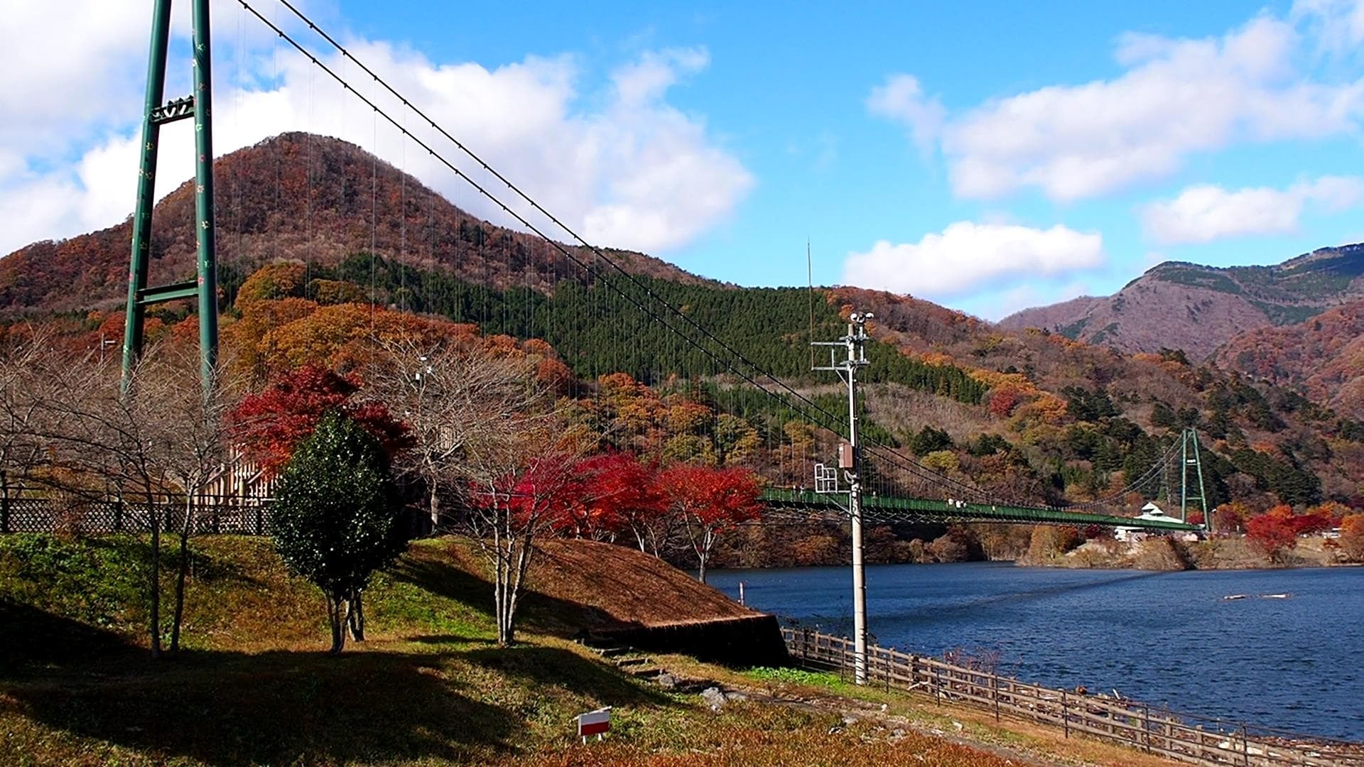 もみじ谷大吊橋の紅葉