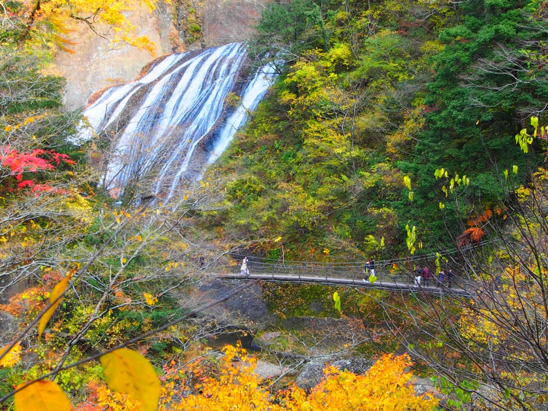 袋田の滝の紅葉