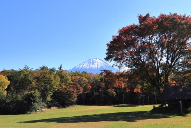 西湖野鳥の森公園