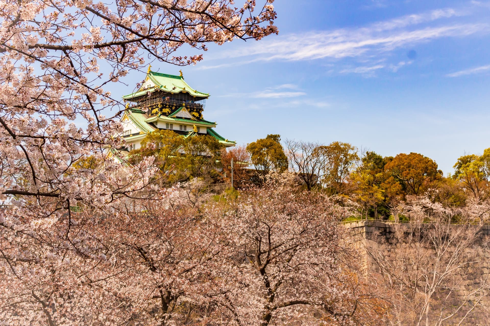 大阪城と桜