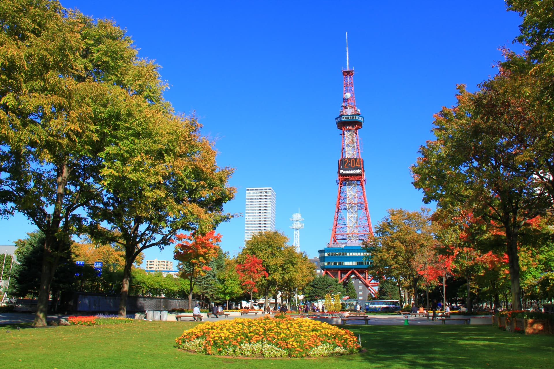 大通公園の紅葉