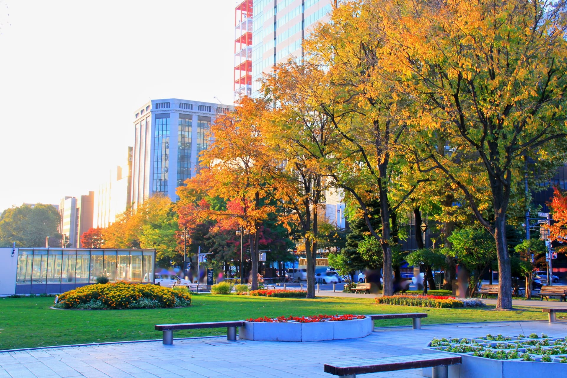 札幌の紅葉