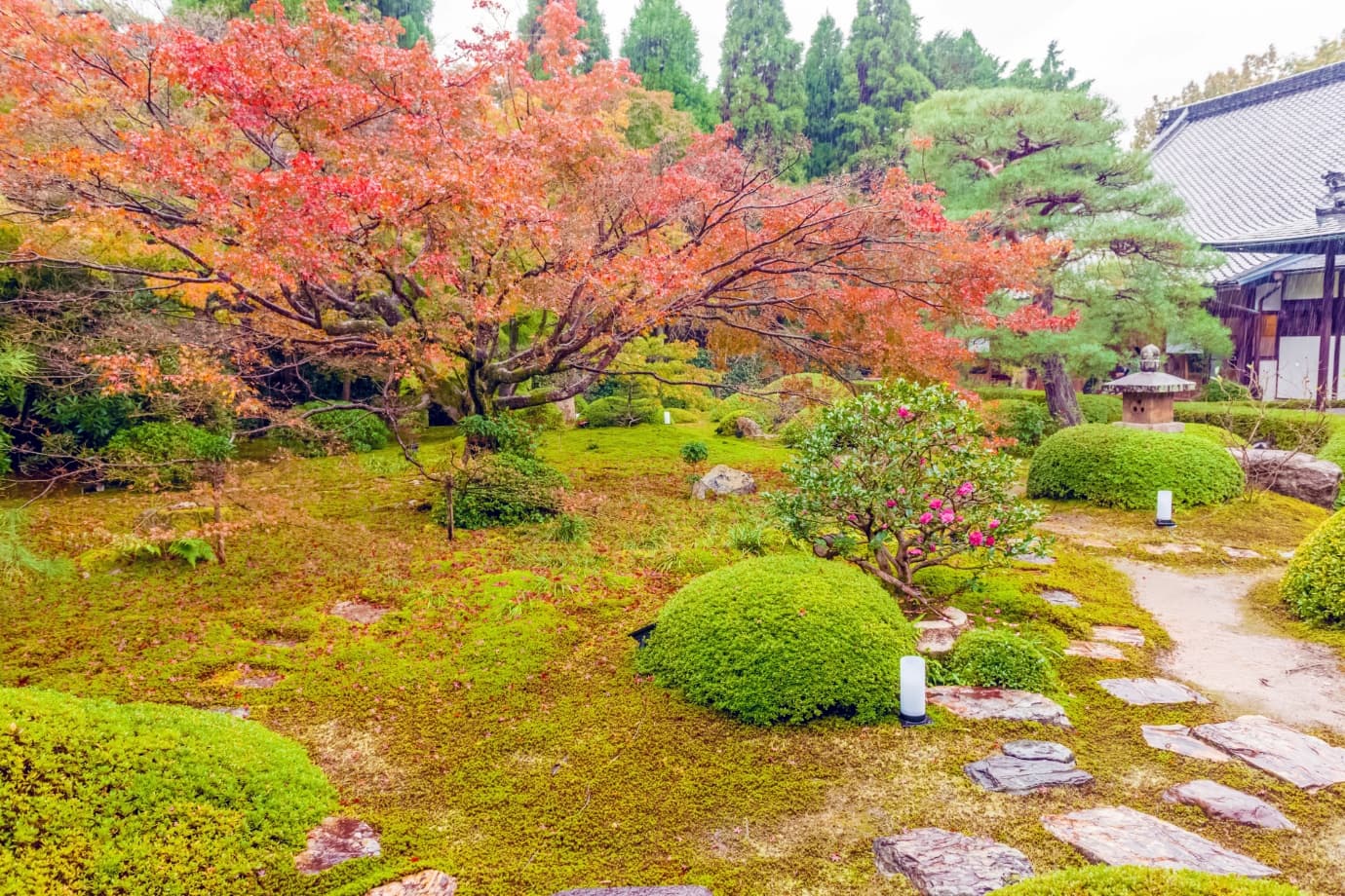 雲龍院本堂の紅葉