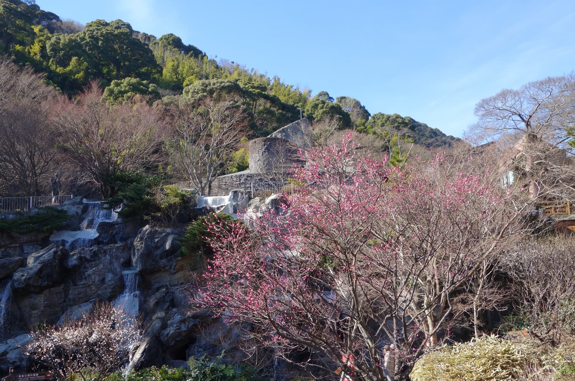 熱海梅園