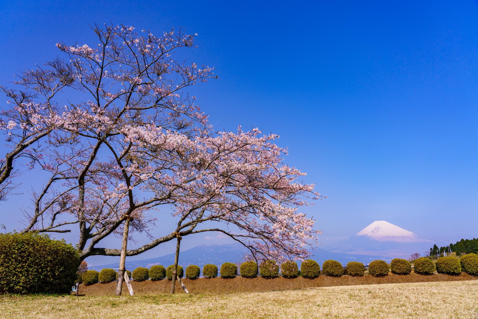 山中城跡公園