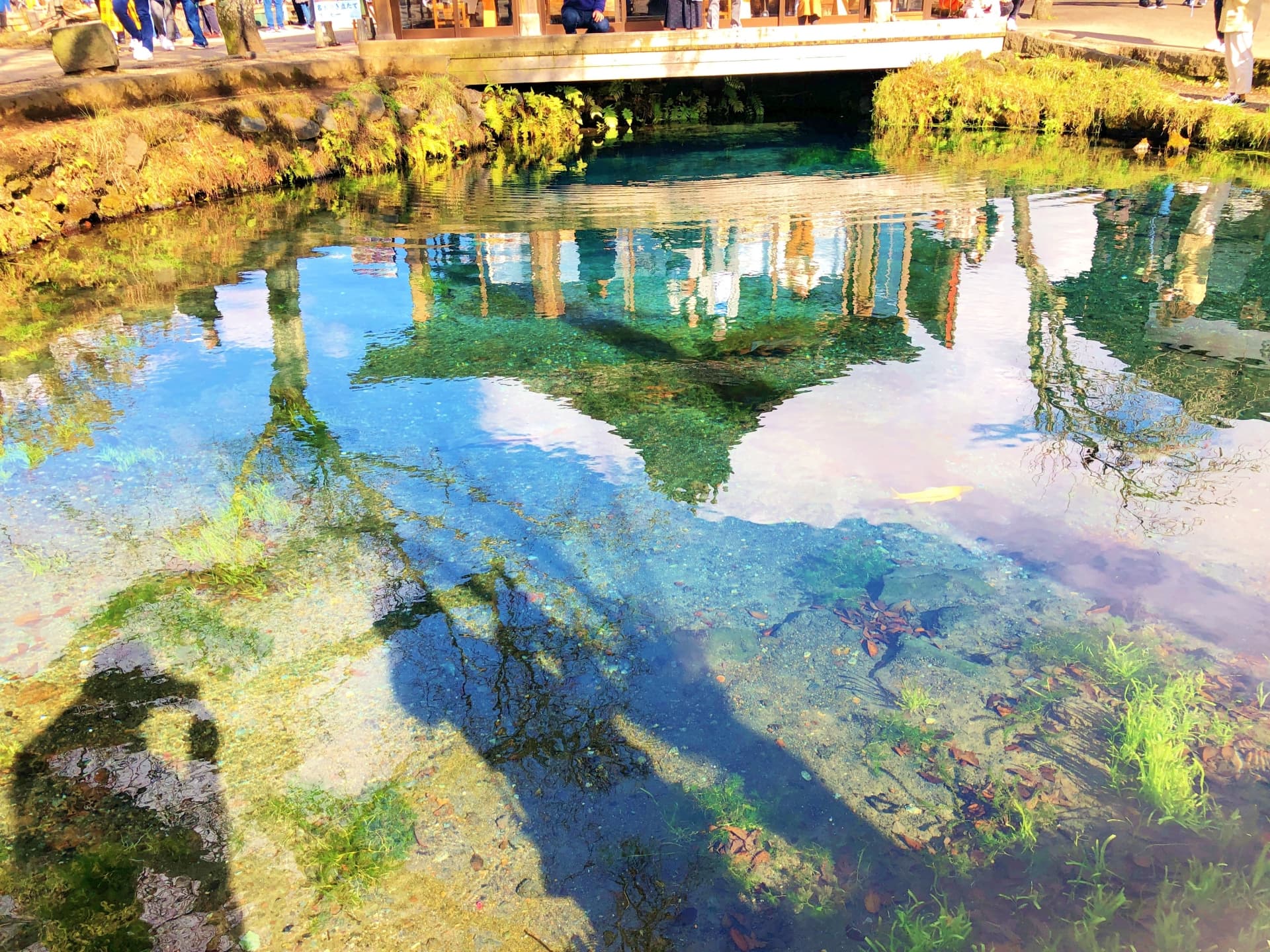 忍野八海