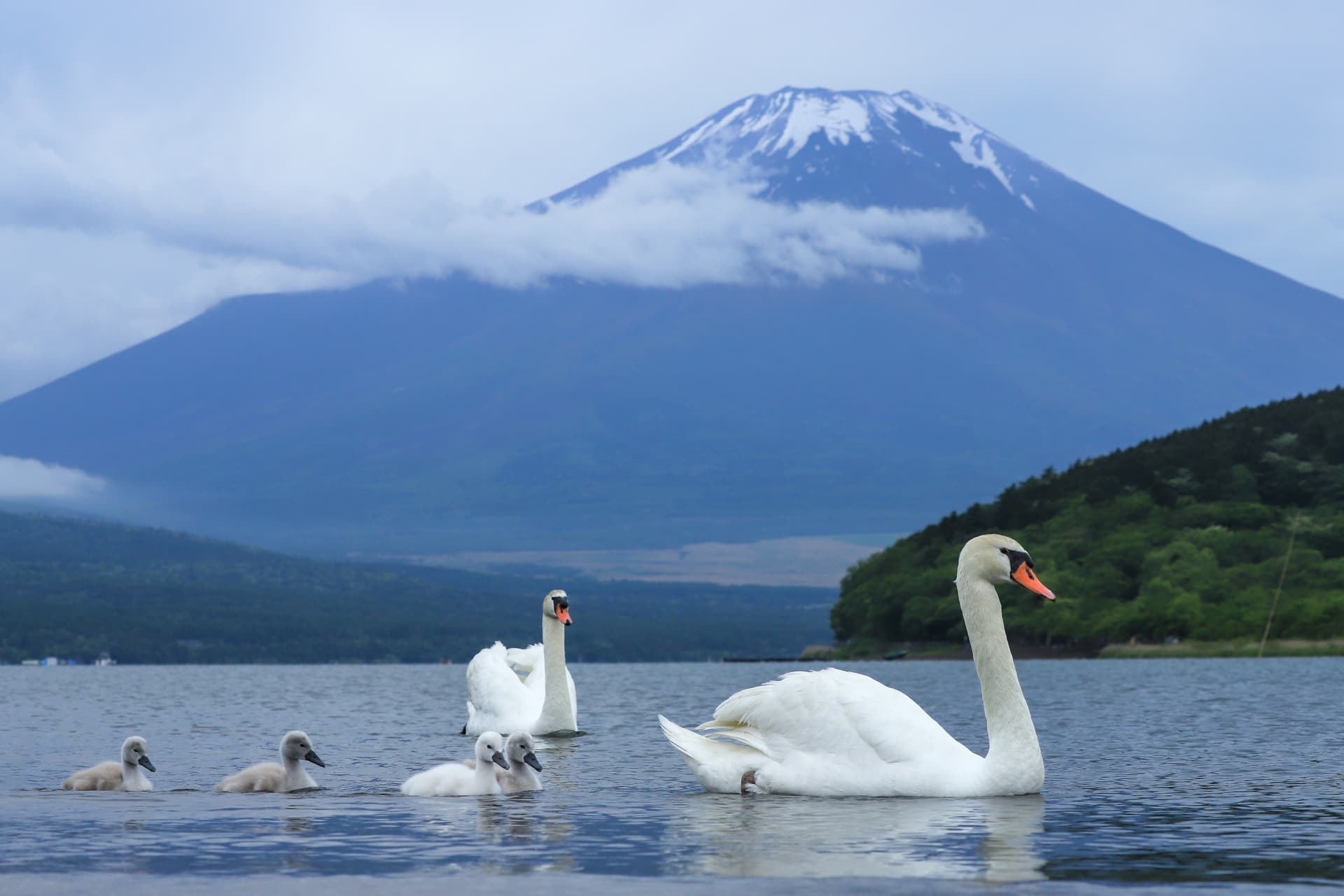 山中湖