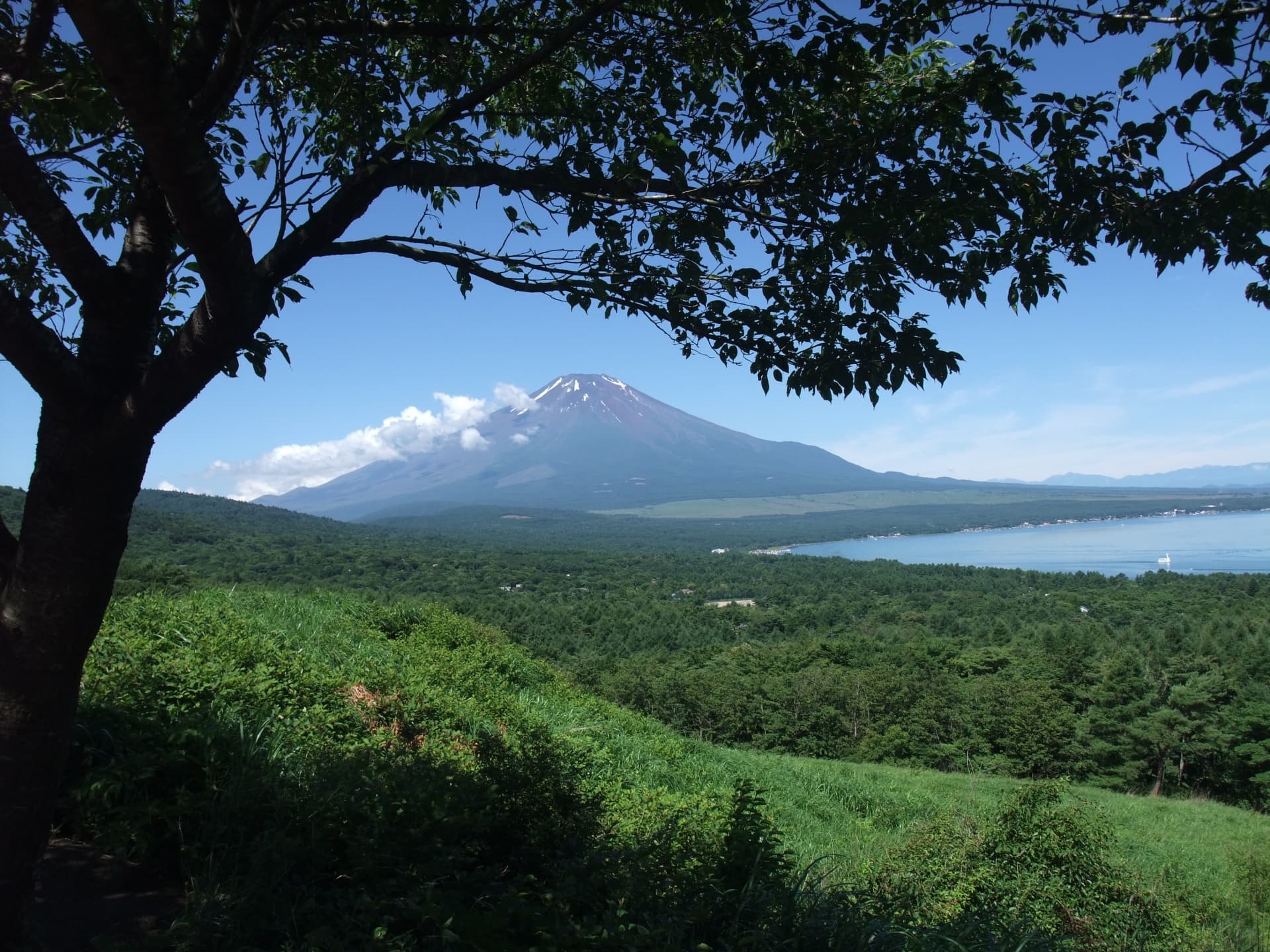 山中湖パノラマ台